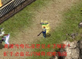 Ӣ�۴���˽������������������ֱر����ʽ��͹���ָ��