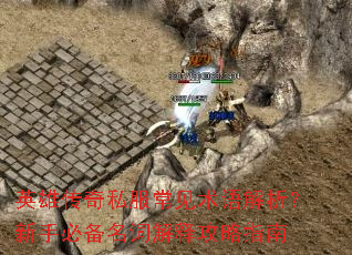 Ӣ�۴���˽������������������ֱر����ʽ��͹���ָ��