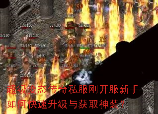 ������̬����˽���տ���������ο����������ȡ��װ��