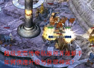 ������̬����˽���տ���������ο����������ȡ��װ��