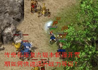 ����˽�����Ű汾�·���������ο�������ս���ȼ���