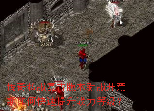 ����˽�����Ű汾�·���������ο�������ս���ȼ���