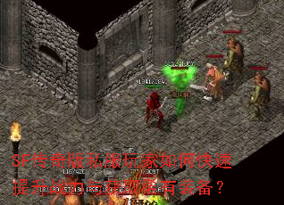 SF�����˽�������ο�������ս�����ȡϡ��װ����