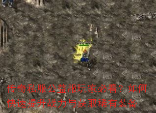 ����˽���������ұؿ�����ο�������ս�����ȡϡ��װ��