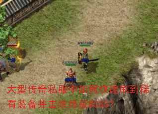 ���ʹ���˽������ο���ˢ��ϡ��װ���������ռ�BOSS��