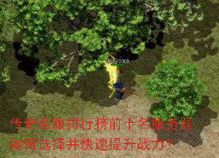 ����˽�����а�ǰʮ�����������ѡ�񲢿�������ս����