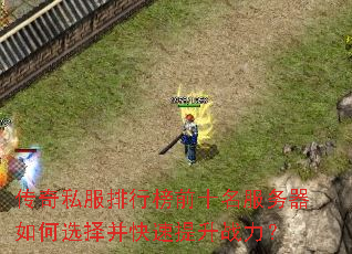 ����˽�����а�ǰʮ�����������ѡ�񲢿�������ս����