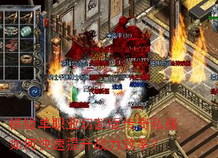 ��浥ְҵ�и�洫��˽����ο�������ս��Ч�ʣ�