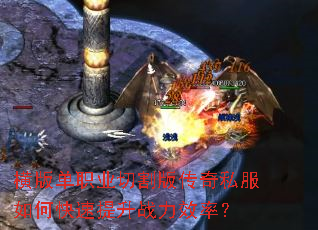 ��浥ְҵ�и�洫��˽����ο�������ս��Ч�ʣ�