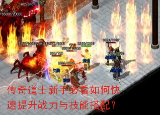 传奇道士新手必看如何快速提升战力与技能搭配? 传奇道士新手必看如何快速提升战力与技能搭配?