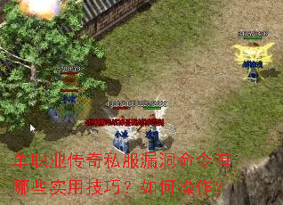 单职业传奇私服漏洞命令有哪些实用技巧?如何操作? 单职业传奇私服漏洞命令有哪些实用技巧?如何操作?