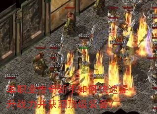 ��ְҵ����������ο�������ս������ȡ����װ����