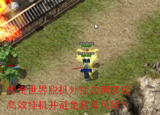 ���������ѻ�������ʵ�ָ�Ч�һ��������ŷ��գ�