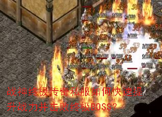 ս���ռ�����˽����ο�������ս���������ռ�BOSS��