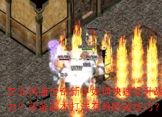 ������ͨ����������ο�������ս����װ����������ɶ���ؼ��ɣ�