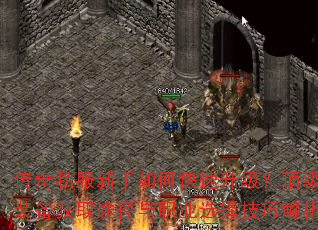 ����˽��������ο�������������װ����ȡ;����ְҵѡ���ɽ���