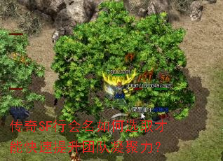 ����SF�л������ѡȡ���ܿ��������Ŷ���������