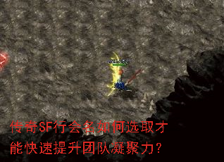 ����SF�л������ѡȡ���ܿ��������Ŷ���������