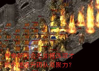 ����SF�л������ѡȡ���ܿ��������Ŷ���������