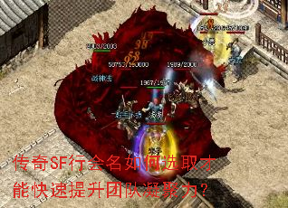 ����SF�л������ѡȡ���ܿ��������Ŷ���������