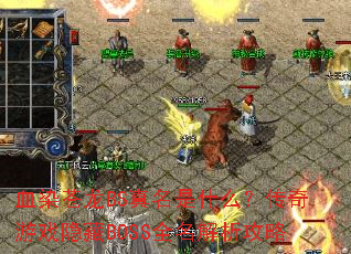 ѪȾ����BS������ʲô��������Ϸ����BOSSȫ����������