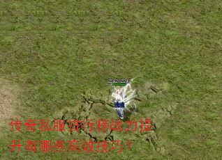 ����˽�����а�ս����������Щ��Ч���ɣ�