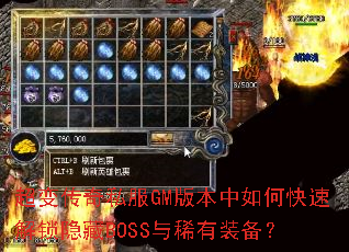 ���䴫��˽��GM�汾����ο��ٽ�������BOSS��ϡ��װ����