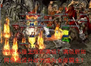 ����˽�����߼���������������ο�������ս����Ϊȫ��������