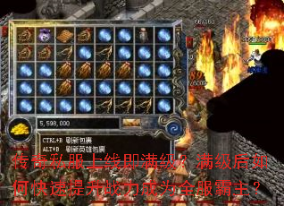 ����˽�����߼���������������ο�������ս����Ϊȫ��������