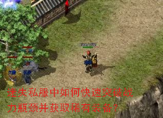 ��ʧ˽������ο���ͻ��ս��ƿ������ȡϡ��װ����