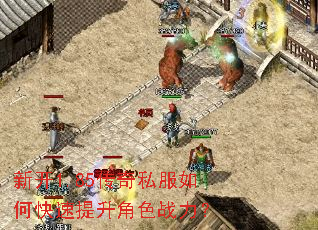 �¿�1.85����˽����ο���������ɫս����