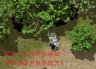 �¿�1.85����˽����ο���������ɫս����