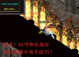 �¿�1.85����˽����ο���������ɫս����