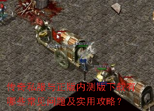 ����˽���������ڲ����������Щ�������⼰ʵ�ù��ԣ�