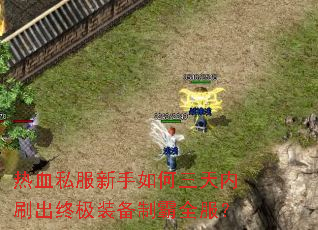 ��Ѫ˽���������������ˢ���ռ�װ���ư�ȫ����