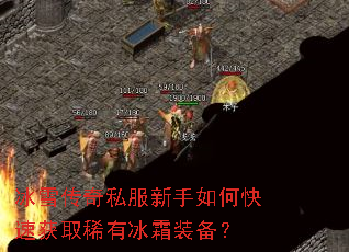 ��ѩ����˽��������ο��ٻ�ȡϡ�б�˪װ����