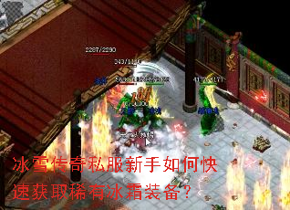 ��ѩ����˽��������ο��ٻ�ȡϡ�б�˪װ����