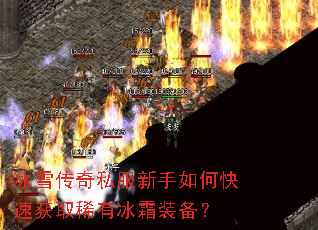 ��ѩ����˽��������ο��ٻ�ȡϡ�б�˪װ����