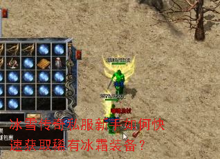 ��ѩ����˽��������ο��ٻ�ȡϡ�б�˪װ����