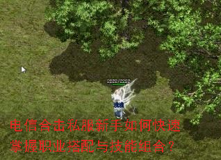 ���źϻ�˽��������ο�������ְҵ�����뼼����ϣ�