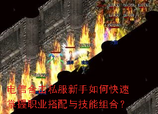 ���źϻ�˽��������ο�������ְҵ�����뼼����ϣ�