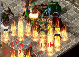 ���ɴ���˽��������ο�������ս���ȼ���