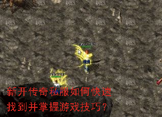 �¿�����˽����ο����ҵ���������Ϸ���ɣ�