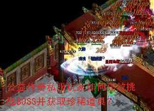 ���洫��˽�������θ�Ч��սBOSS����ȡ��ϡ���ߣ�