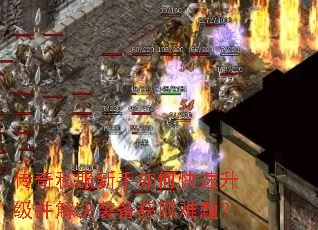 ����˽��������ο������������װ����ȡ���⣿