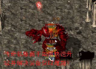 ����˽��������ο������������װ����ȡ���⣿