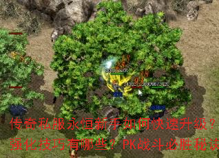 ����˽������������ο���������װ����ȡ��ǿ����������Щ��PKս����ʤ�ؾ���ʲô��