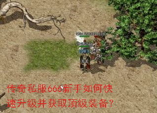 ����˽��666������ο�����������ȡ����װ����