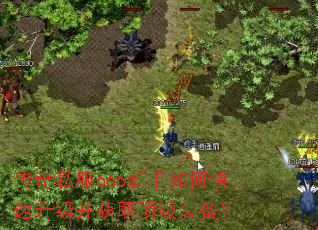 ����˽��666������ο�����������ȡ����װ����