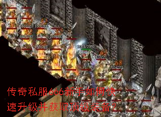 ����˽��666������ο�����������ȡ����װ����